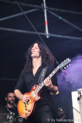 Dool aus den Niederlanden