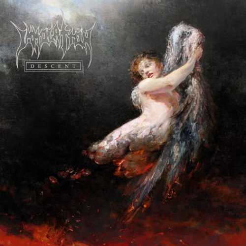 album%20artwork%20immolation
